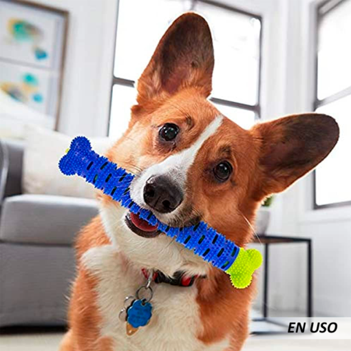 Hueso cepillo de dientes para mascota - Imagen 5